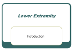 Lower Extremity