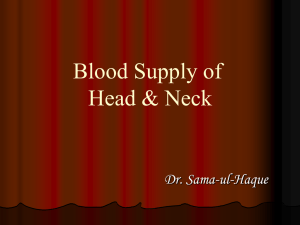Blood supply of Head and neck