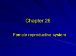 Chapter 26 - Reproductive