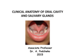 Clinical Anatomy of Oral Cavity