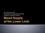 22.Arterial Supply of the Lower Limb