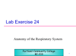 Respiratory anatomy - PCC