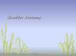Shoulder Anatomy and Injuries - PA