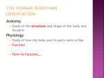 Introduction to Anatomy-HHAP