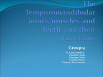 The Temporomandibular joints, muscles, and teeth, and their