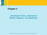 Chapter 3 Directional Terms, Anatomical Planes, Regions, and