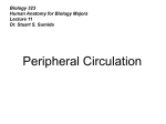 323Lecture11 - Dr. Stuart Sumida