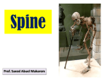 Final spine