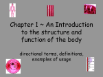 Chapter 1 ~ An Introduction to the structure and
