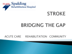 stroke bridging the gap - Spalding Rehabilitation Hospital