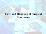 Care and Handling of Surgical Specimens