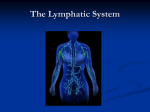 Lymphatic System PPT