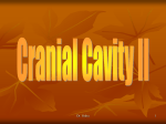 06-Cranial Cavity-IINew.part 22008-10