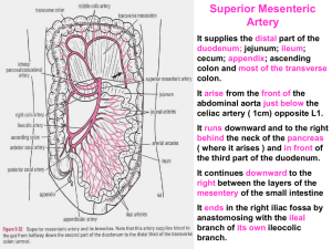 27-As of Mid& hindgut