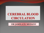 16-blood supply of cerebrum