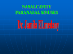 nasal cavity paranasal sinuses