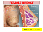 FEMALE BREAST