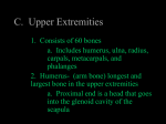C. Upper Extremities - Crestwood Local Schools