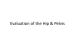 Evaluation of the Hip & Pelvis