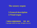 consist of receptors and accessory organs. Skin, visual organ