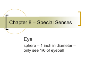 Ch8 Power Point - Eyes