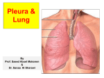 L4-lung & pleura