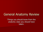 General Anatomy Review