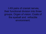 07 Cranial nerves, their functional division into three groups. Organ