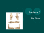 lecture 8 elbow