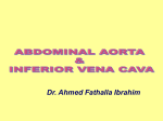 06-Aorta & IVC