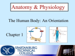 File anatomy & physiology ch. 1