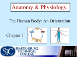 Organ Systems - Cobb Learning