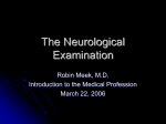 Neurological Exam