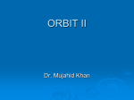8-Orbit II