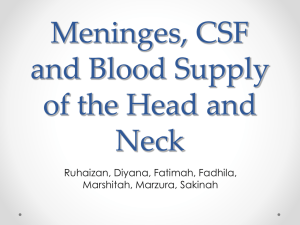 Meninges (singular Meninx)