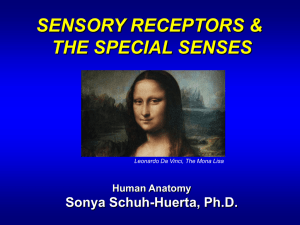 Ch16.Special.Senses.Part1