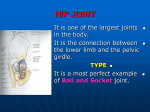 18-hip joint