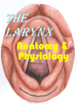 The Larynx Anat. & Phys 1