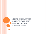 Kinesiology04_Axial_Skeleton1