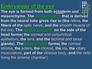 1._Embryology,_Anatomy_&_Function_of_the_Eye