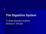 The Digestive System