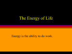 The Energy of Life - AVC Distance Education: Learn