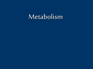 Metabolism