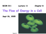 11 Thermodynamics 9 26 05