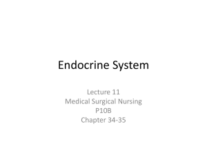 Lecture 11 Endocrine - Porterville College