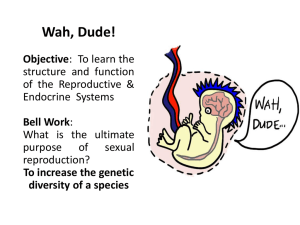 Reproductive & Endocrine Notes