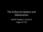 The Endocrine System and Adolescence