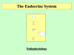 Pathology of the Endocrine System