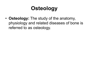 Osteology2014