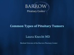Laura Knecht, MD - Barrow Pituitary Blog
